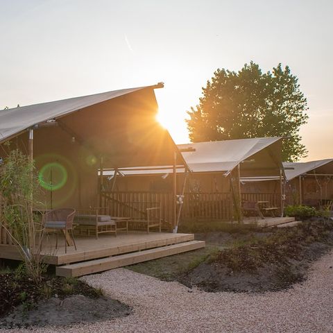 Safaritent 4 personen - Saharatent