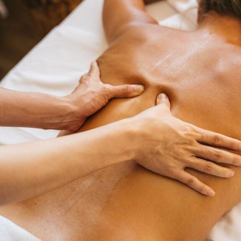 Sahara Stay - Westland - Afbeelding N°2