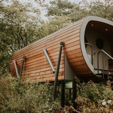 UNIEKE ACCOMMODATIE 4 personen - Boomhut Skycabin Sluipwesp
