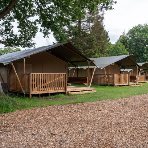 Safaritent 6 personen - incl. sanitair