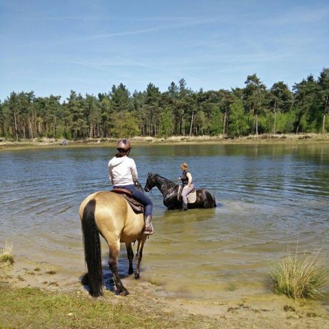 Vodatent Camping Amable - Someren - Afbeelding N°2