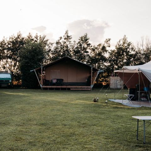 Vodatent Camping de Tulpenweide - Hollands Kroon - Afbeelding N°3