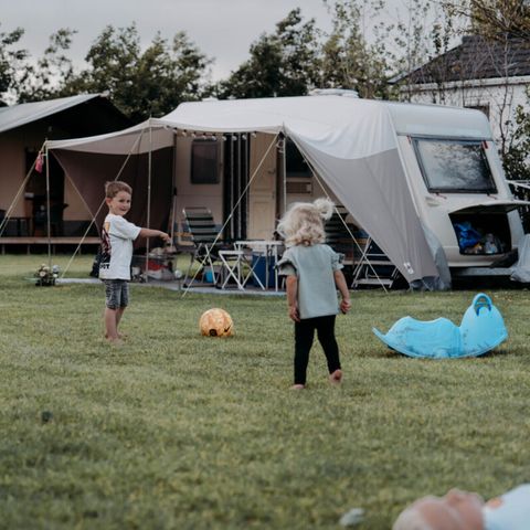 Vodatent Camping de Tulpenweide - Hollands Kroon - Afbeelding N°4