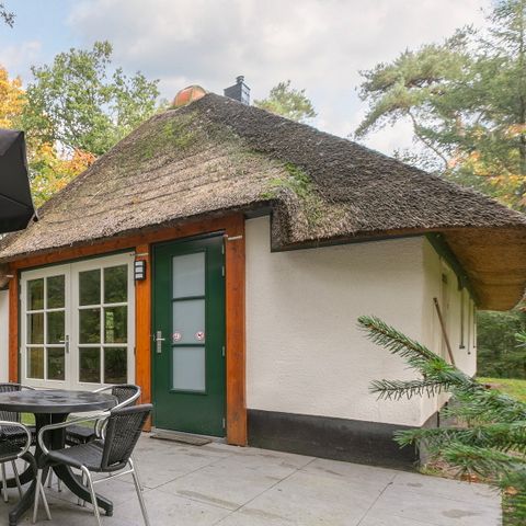 Bungalow 4 personen - Maashoeve
