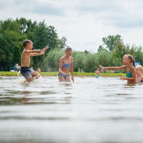 Landal Klein Oisterwijk - Oisterwijk - Afbeelding N°2