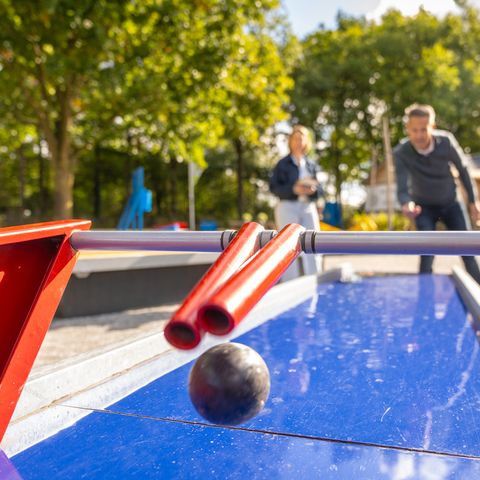 Landal Klein Oisterwijk - Oisterwijk - Afbeelding N°3