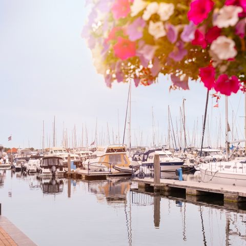 Summio Marina Port Zelande  - Camping Goeree-Overflakkee - Afbeelding N°6