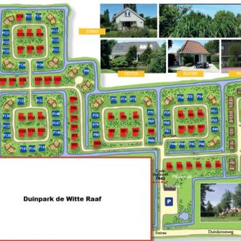 Duinpark De Witte Raaf - Camping Noordwijk - Afbeelding N°5