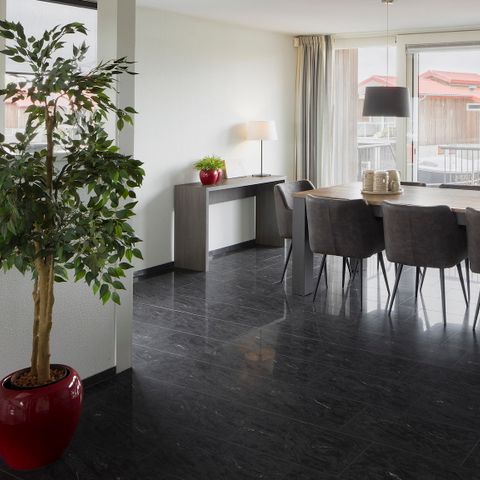 Bungalow 8 personen - Goudplevier Wellness Plus