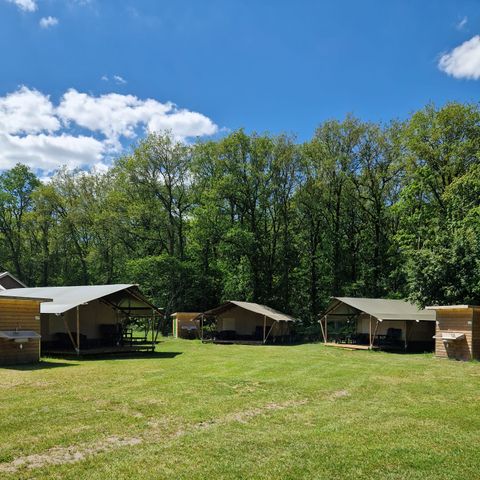 Safaritent 4 personen