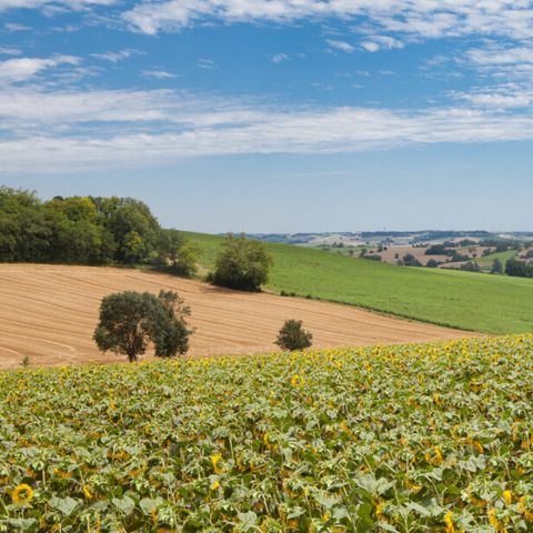 Vodatent Camping Le Camp de Florence - Gers - Afbeelding N°3
