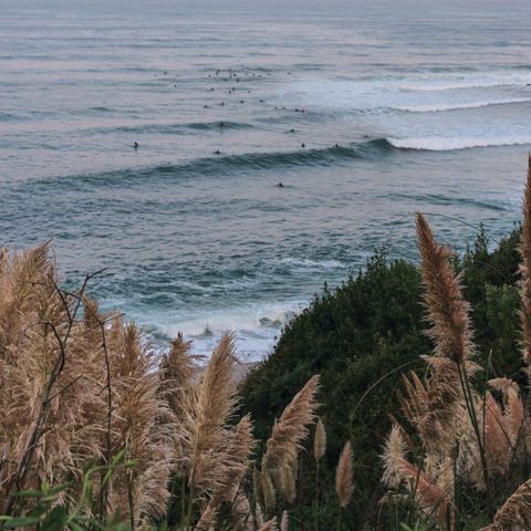 Wecamp San Sebastian - Gipuzkoa - Afbeelding N°2