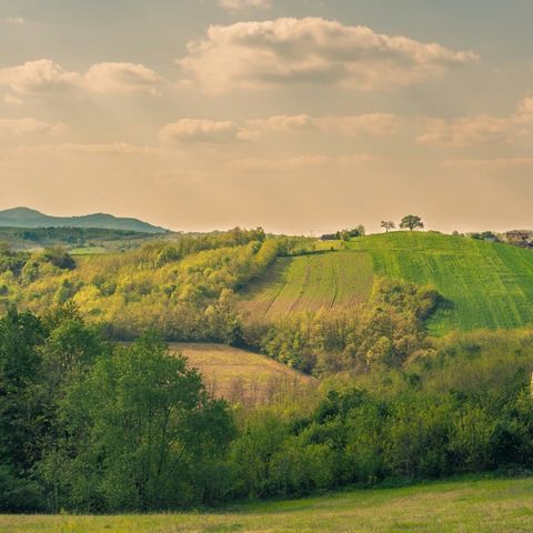 Wecamp Pinineos  - Huesca - Afbeelding N°2