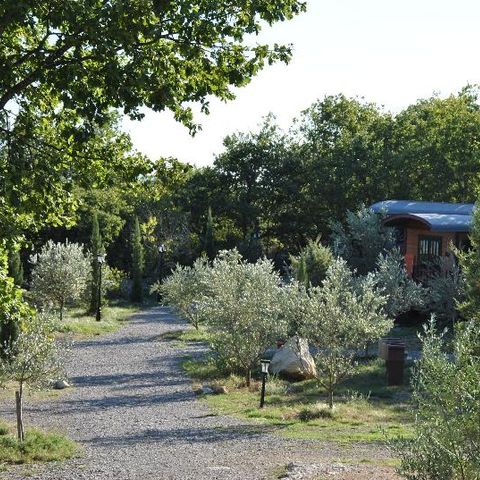 LODGE 5 personen - Roulotte ( Deluxe verblijf ) airconditioning / met ontbijt / 2 pers inbegrepen / Privé spa optioneel