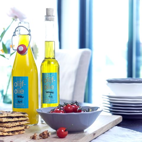 VAKANTIEHUIS 4 personen - Penthouse