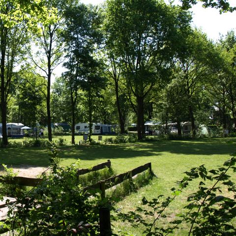 Recreatiecentrum Heumens Bos - Camping Heumen - Afbeelding N°2