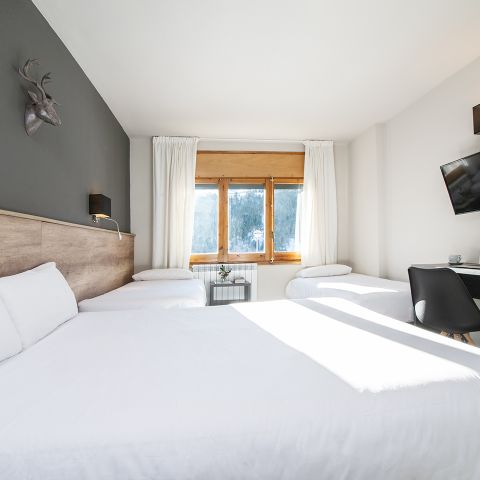 Hotelkamer 4 personen - Vierpersoonskamer