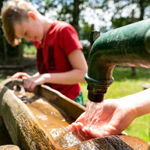 UNIEKE ACCOMMODATIE 6 personen - Boomhut