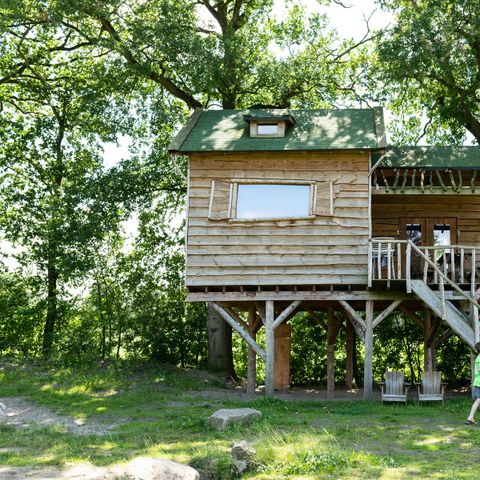 Accommodatie 6 personen - Boomhut