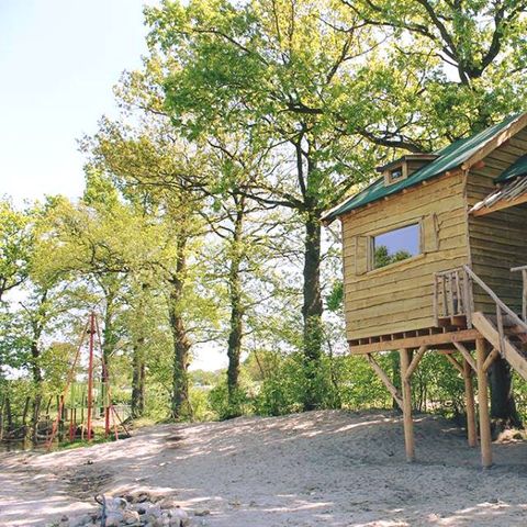 UNIEKE ACCOMMODATIE 6 personen - Boomhut