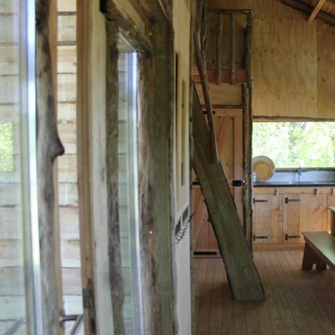 Accommodatie 6 personen - Boomhut