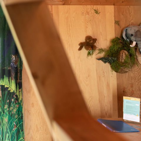 Glampingtent 6 personen - Bungalowtent Junglehuisje