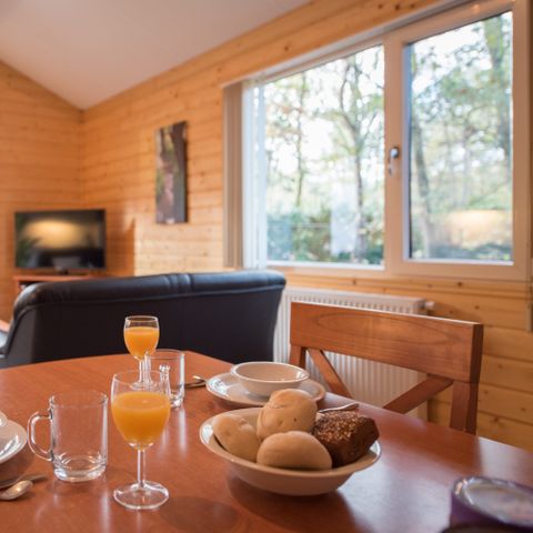 Bungalow 4 personen - Blauwe Pauw