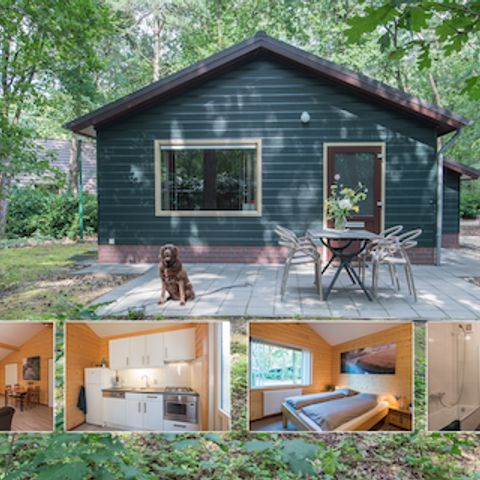 Bungalow 4 personen - Blauwe Pauw