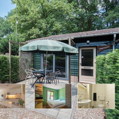 Bungalow 4 personen - Bosfazant