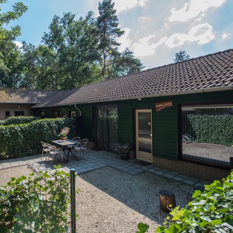 Bungalow 3 personen - Knobbelzwaan