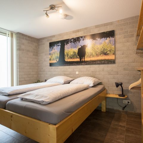 Bungalow 4 personen - Groene Specht