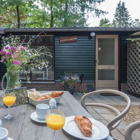 Bungalow 1 persoon - Roodhalsgans