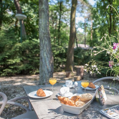 Bungalow 1 persoon - Roodhalsgans