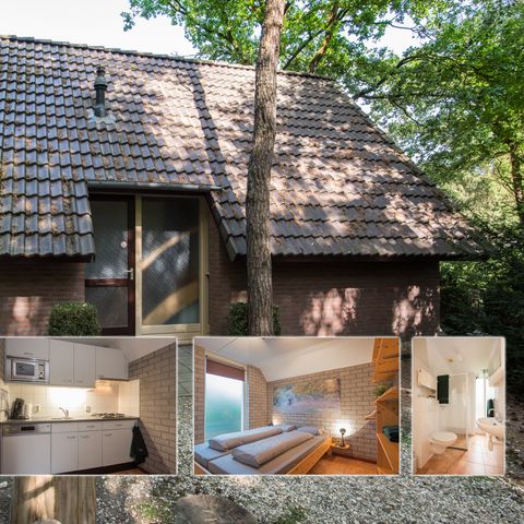 Bungalow 4 personen - Java Pauw