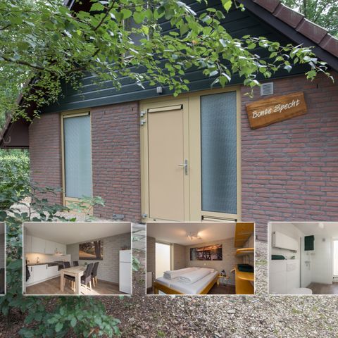 Bungalow 4 personen - Bonte Specht