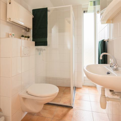 Bungalow 4 personen - Witte Pauw