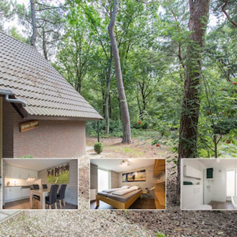 LODGE 4 personen