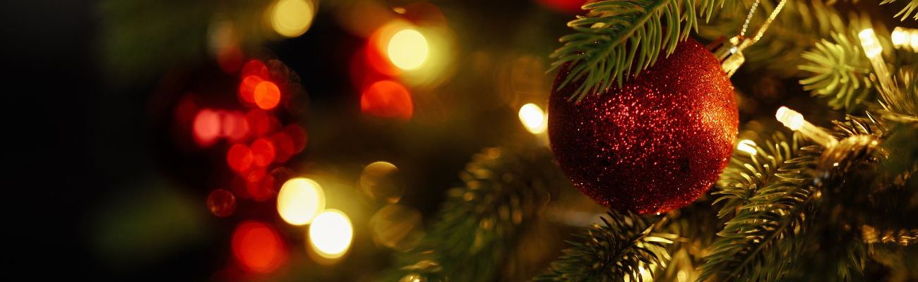 Vakantiehuis kerst 2026