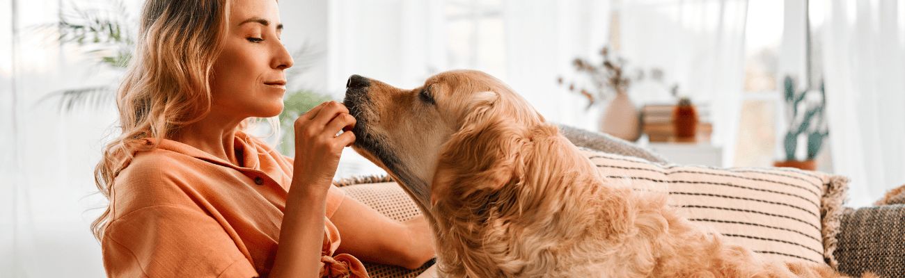 Weekend weg met hond