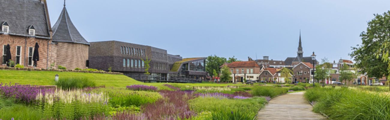 Vakantiehuis in Drenthe