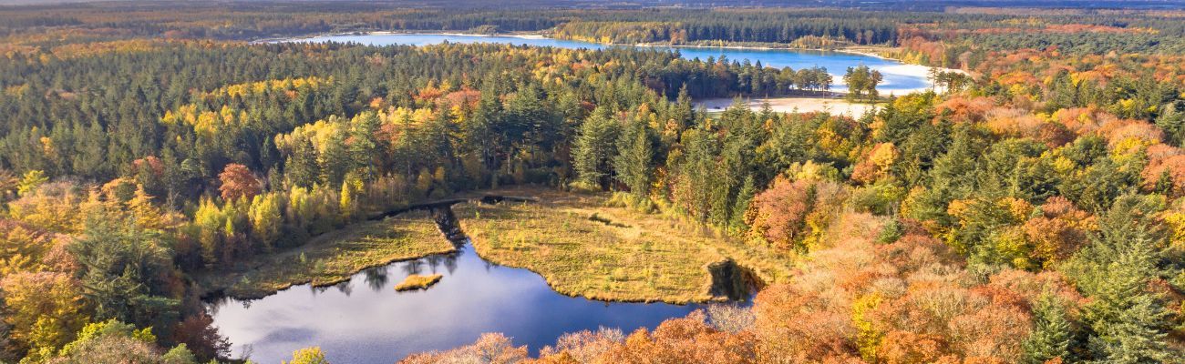 Luxe vakantieparken in Drenthe