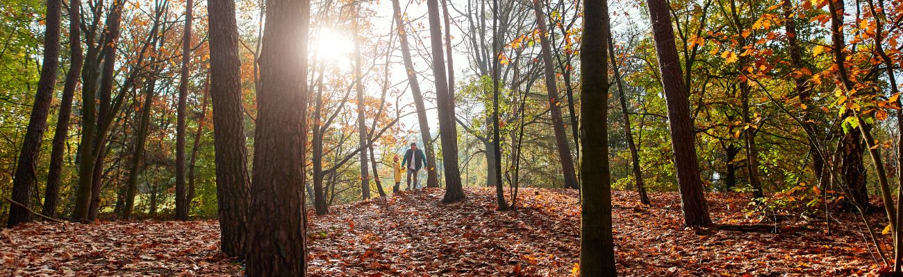 Center Parcs Autumn Colours