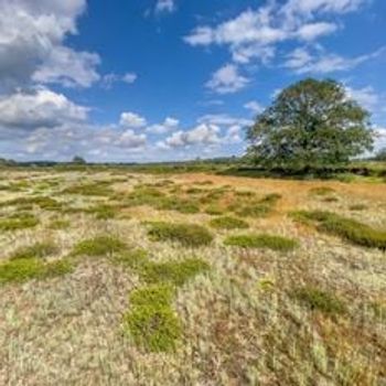 Vakantie in Drenthe