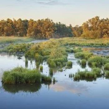 Vakantie in Noord-Brabant