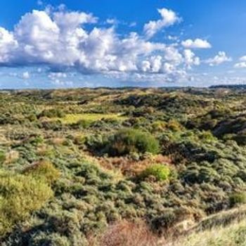 Vakantieparken in Zandvoort