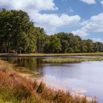 Vakantieparken in Hoenderloo