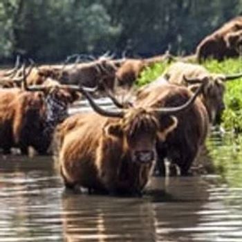 Alle vakantieparken in Noord-Brabant