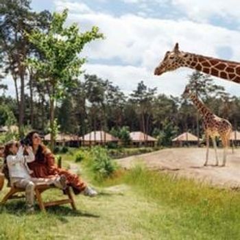 Vakantieparken in Hilvarenbeek