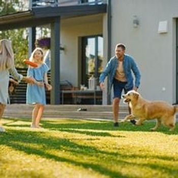 Alle huisdiervriendelijke vakantieparken