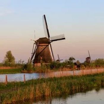 Vakantie met hond in Nederland